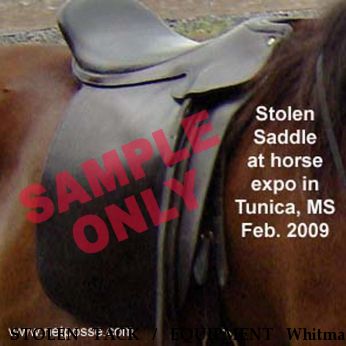 STOLEN TACK / EQUIPMENT Whitman English Saddle, Near Tunica, MS, 00000